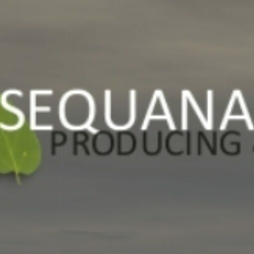 SEQUANA MEDIA