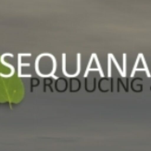 SEQUANA MEDIA